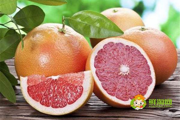 葡萄柚和橙子的维c哪个高