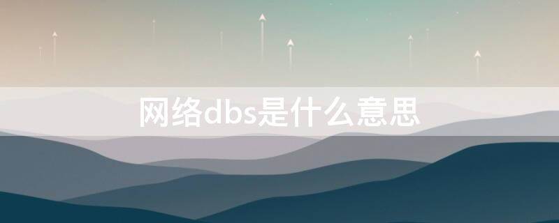 网络dbs是什么意思