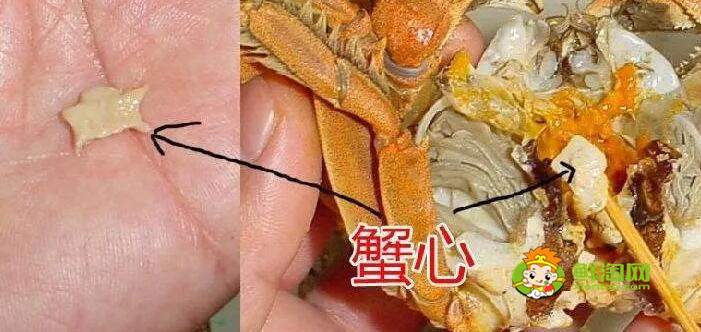 螃蟹怎么吃图解
