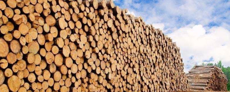 一方木材是多少